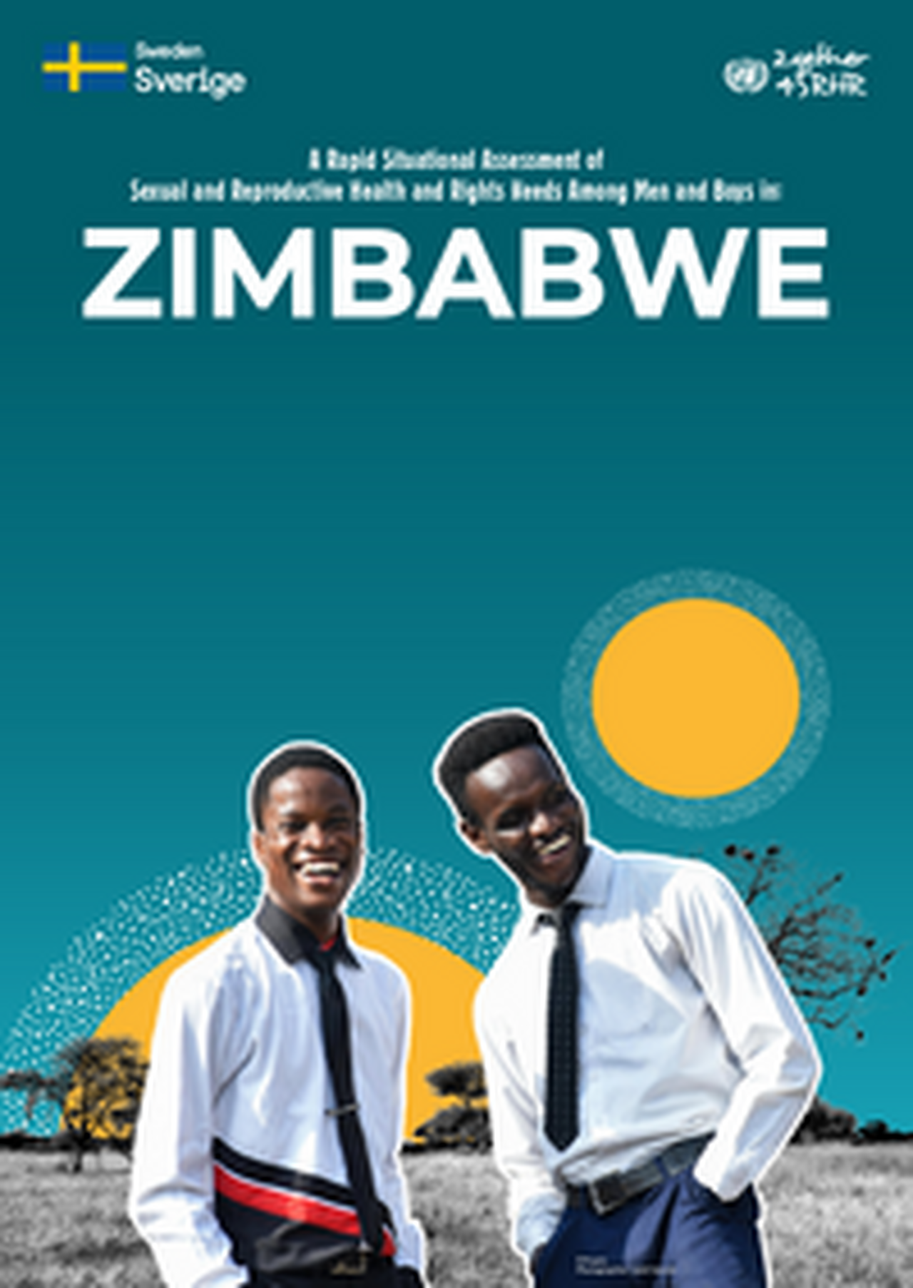 Zimbabwe-Men-and-Boys-Brief_2gether-4-SRHR_Final.pdf