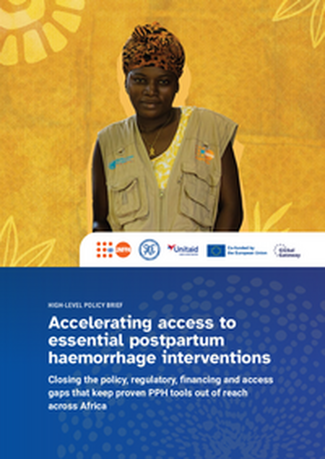 High-Level-Policy-Brief-Accelerating-Access-to-Essential-PPH-Interventions-1.pdf