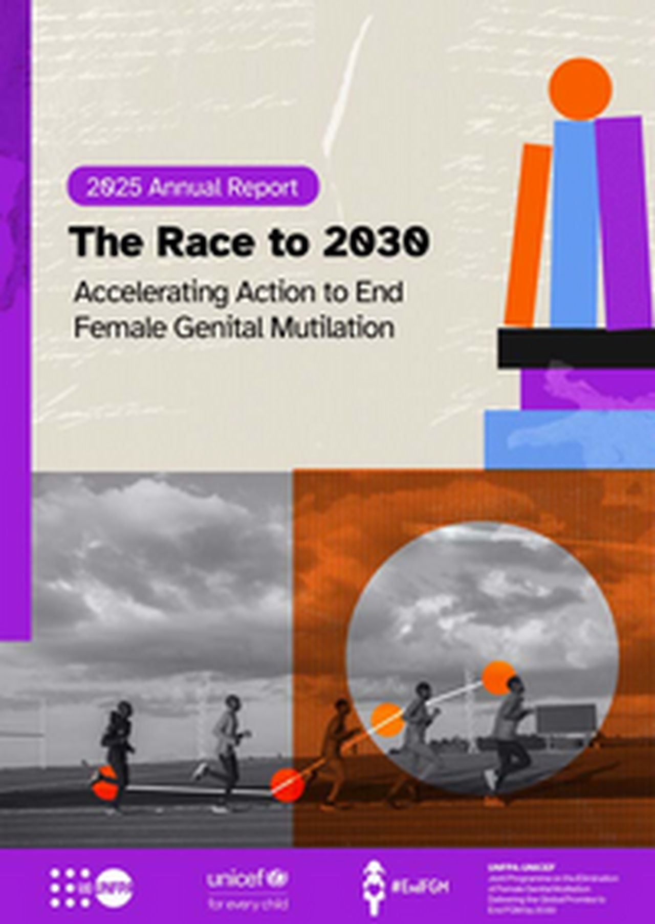 191888693_85c6b3c5-47f4-4904-8939-8ca4fc6573d9__2025_fgm_joint-programme_annual_report-2_2026-07-30-084601_bacr.pdf
